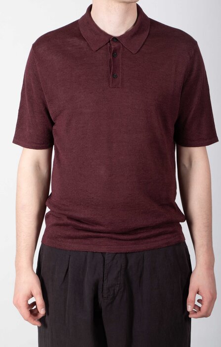 Roberto Collina Roberto Collina Polo / 261MYA20024 / Vijg