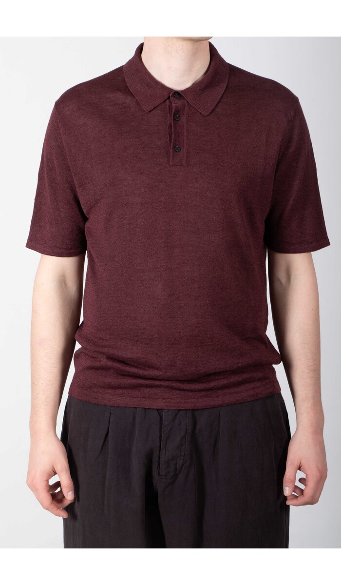 Roberto Collina Roberto Collina Polo / 261MYA20024 / Fig