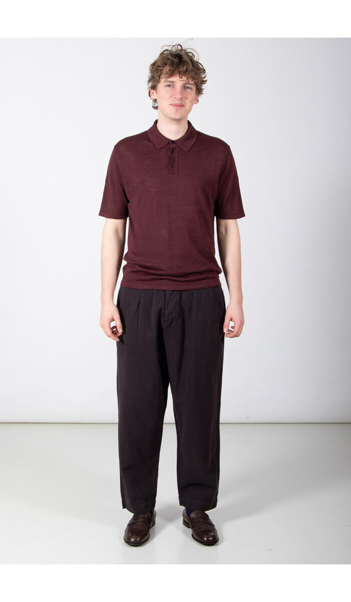 Roberto Collina Roberto Collina Polo / 261MYA20024 / Fig