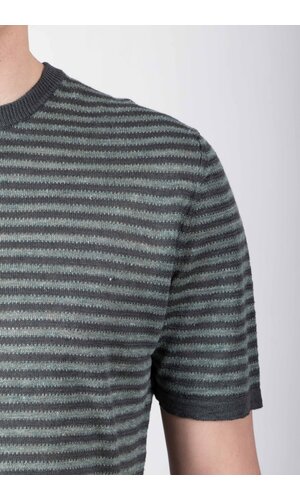 Roberto Collina Roberto Collina T-Shirt / 261MYA21021 / Blaufichte