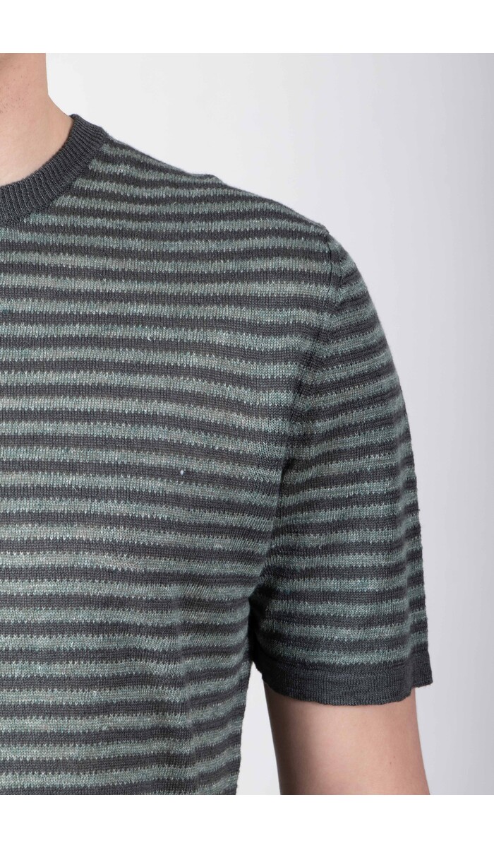 Roberto Collina Roberto Collina T-Shirt / 261MYA21021 / Blaufichte