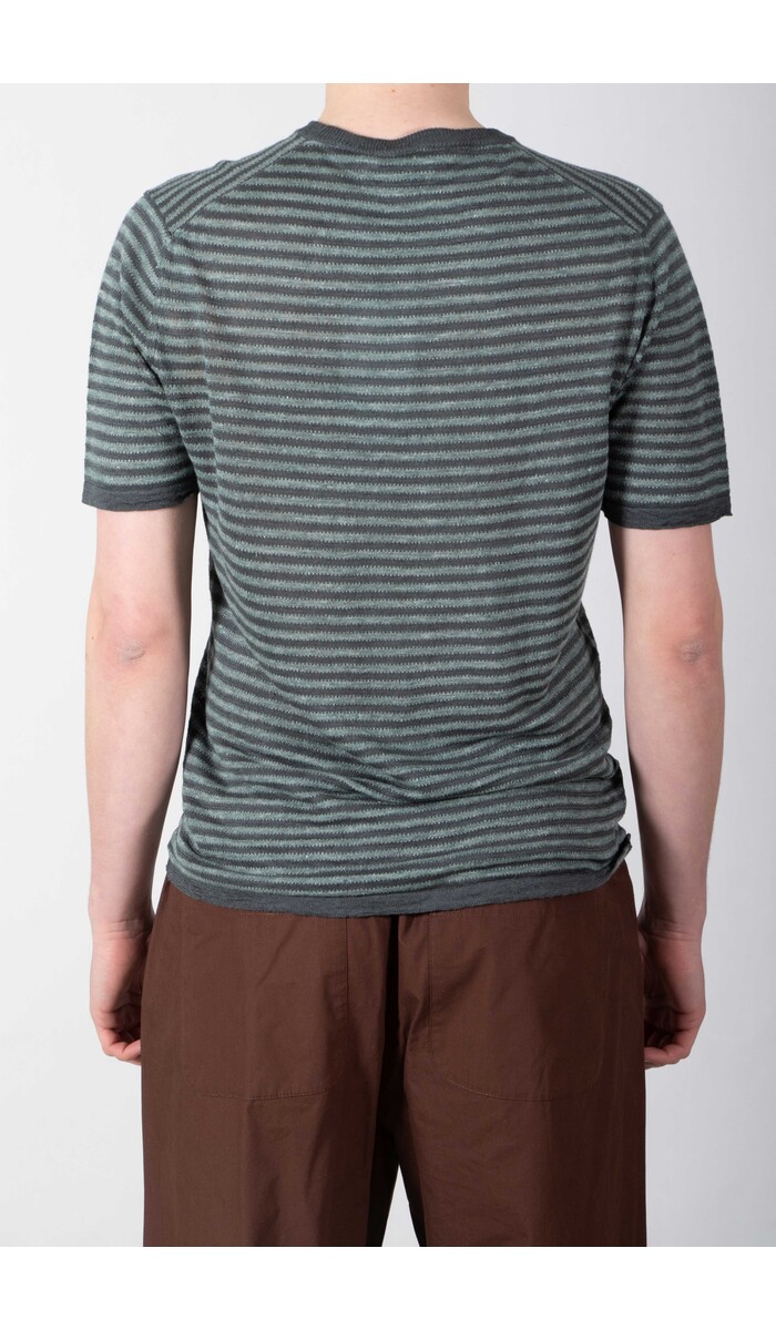 Roberto Collina Roberto Collina T-Shirt / 261MYA21021 / Blaufichte