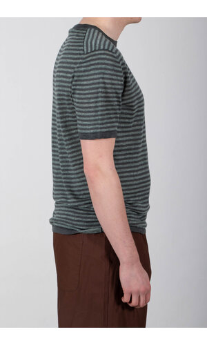 Roberto Collina Roberto Collina T-Shirt / 261MYA21021 / Blaufichte