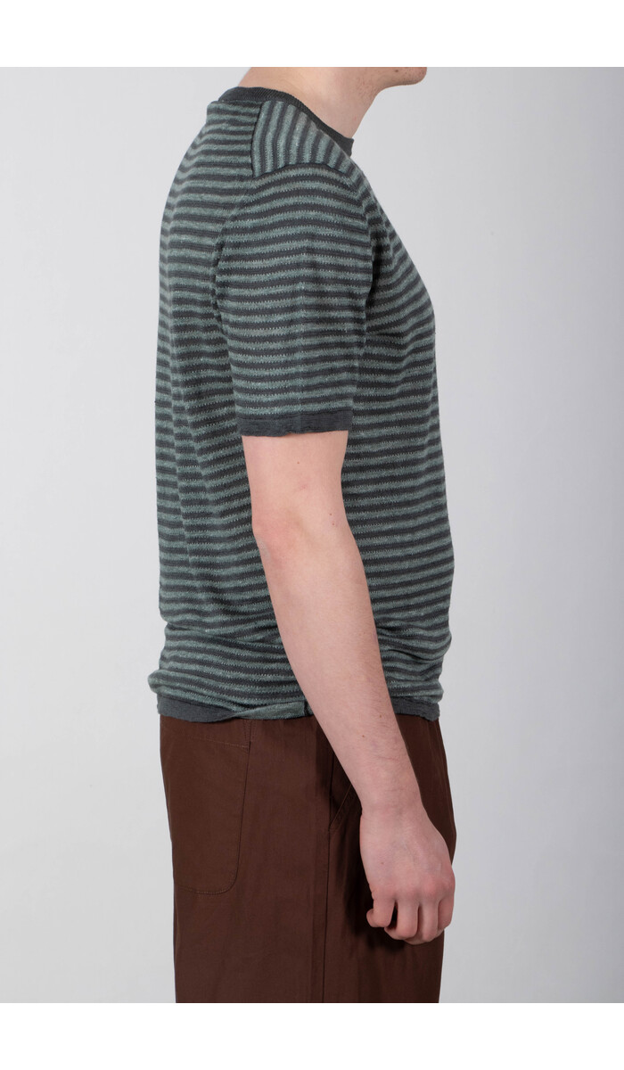 Roberto Collina Roberto Collina T-Shirt / 261MYA21021 / Blaufichte