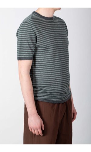 Roberto Collina Roberto Collina T-Shirt / 261MYA21021 / Blaufichte