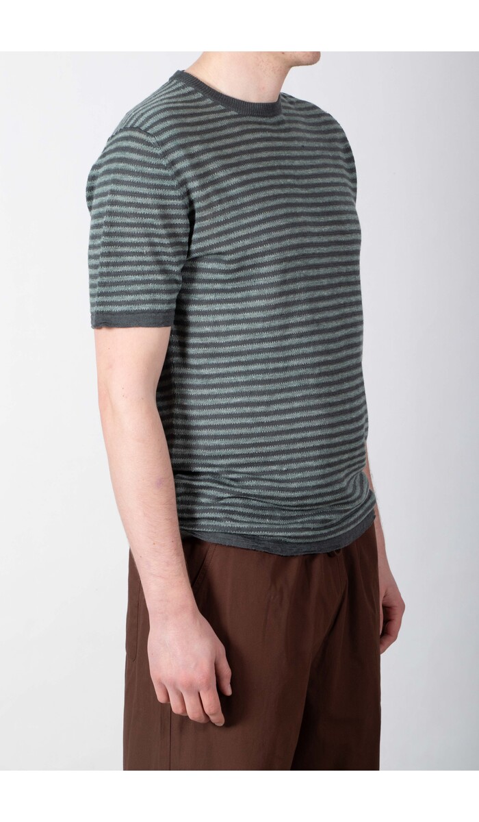 Roberto Collina Roberto Collina T-Shirt / 261MYA21021 / Blaufichte