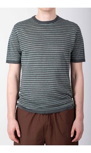 Roberto Collina Roberto Collina T-Shirt / 261MYA21021 / Blaufichte