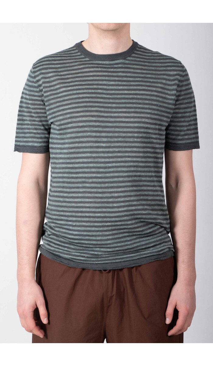 Roberto Collina Roberto Collina T-Shirt / 261MYA21021 / Blaufichte