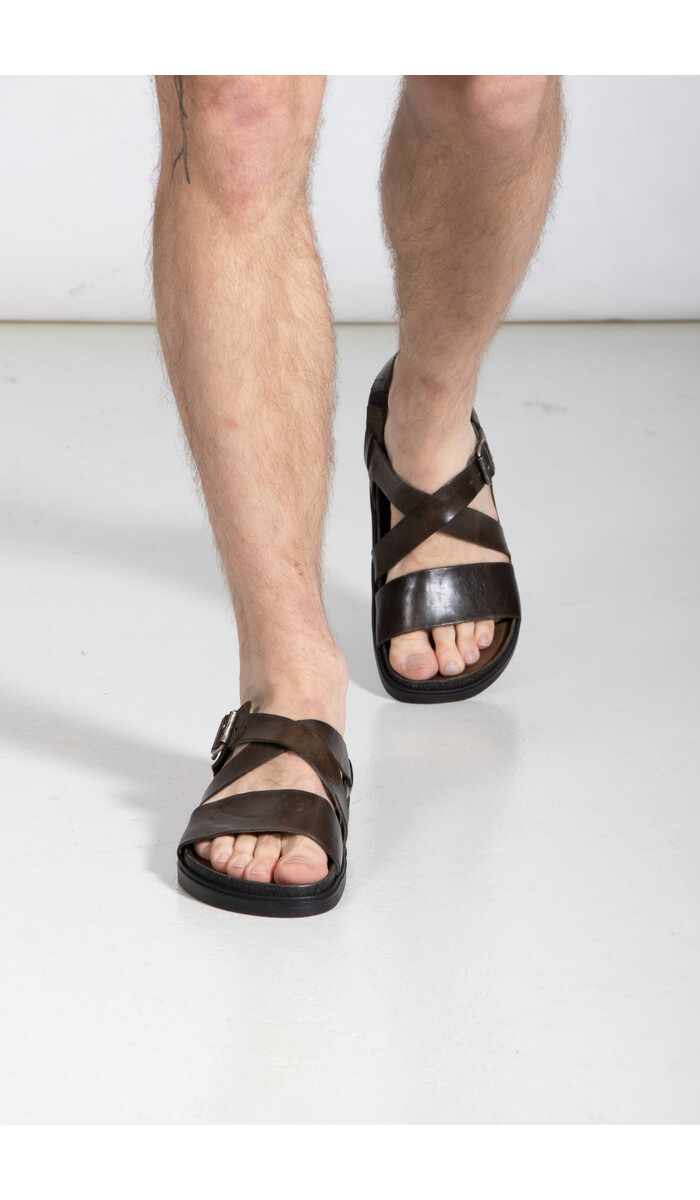 Brador Brador Sandale / 70756 / Taggiasca Brador Brador Sandale / 70756 / Taggiasca