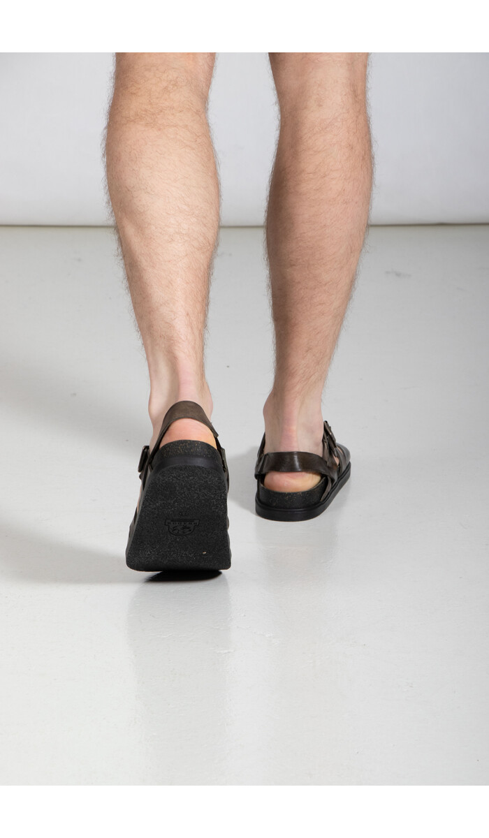 Brador Brador Sandale / 70756 / Taggiasca Brador Brador Sandale / 70756 / Taggiasca