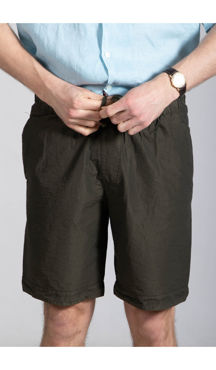 Transit Transit Shorts / CFUTRC20550 / Waldgrün