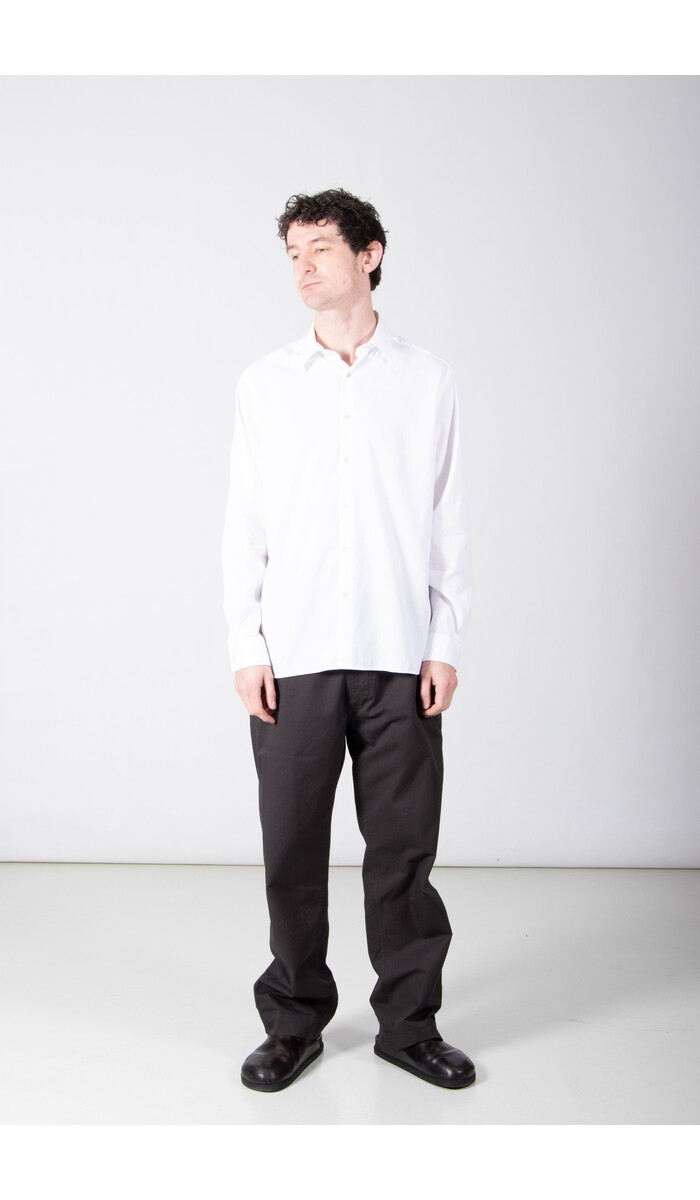 7d 7d Shirt / Sanders / White Stripe