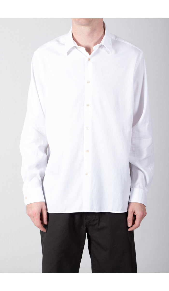 7d 7d Shirt / Sanders / White Stripe