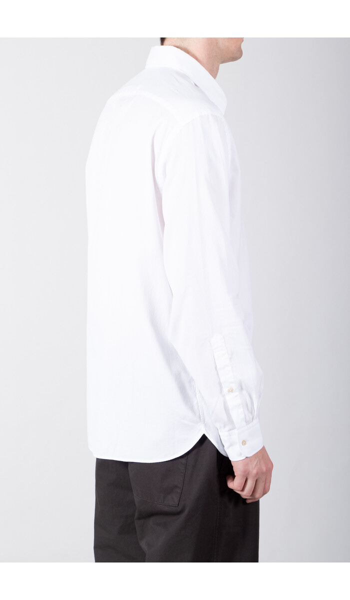 7d 7d Shirt / Sanders / White Stripe