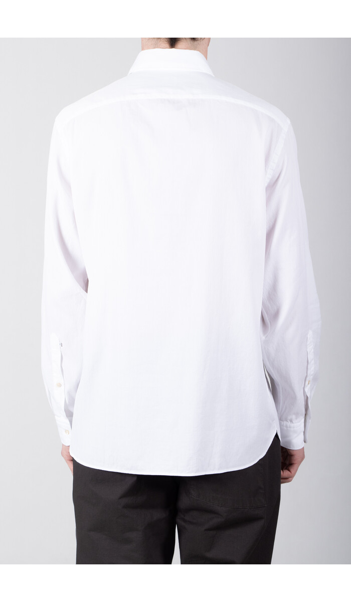 7d 7d Shirt / Sanders / White Stripe