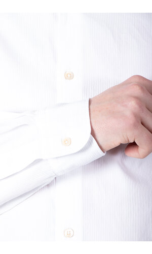 7d 7d Shirt / Sanders / White Stripe