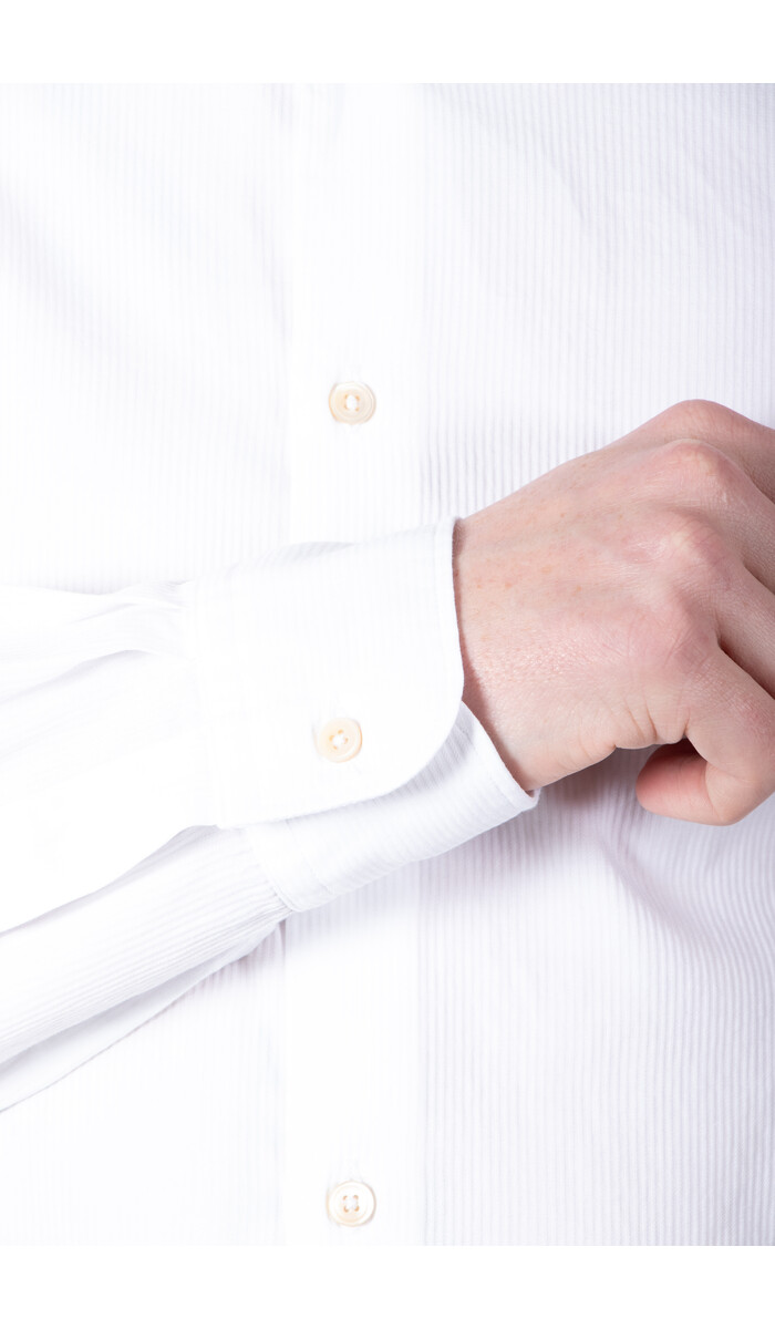 7d 7d Shirt / Sanders / White Stripe