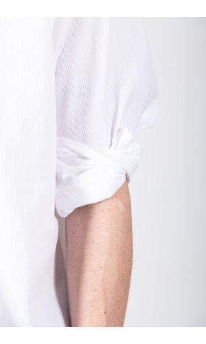 7d 7d Shirt / Sanders / White Stripe