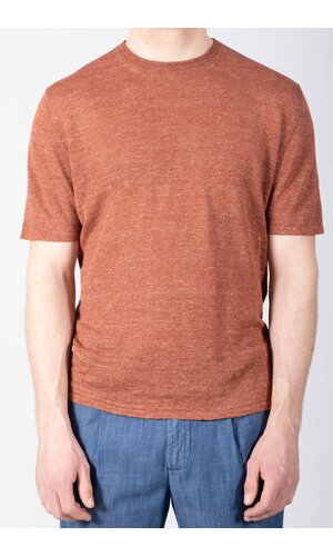 Roberto Collina Roberto Collina T-Shirt / 261MYA19021 / Squirrel Roberto Collina Roberto Collina T-Shirt / 261MYA19021 / Squirrel