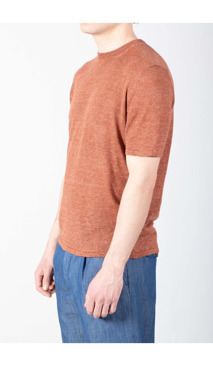 Roberto Collina Roberto Collina T-Shirt / 261MYA19021 / Squirrel Roberto Collina Roberto Collina T-Shirt / 261MYA19021 / Squirrel