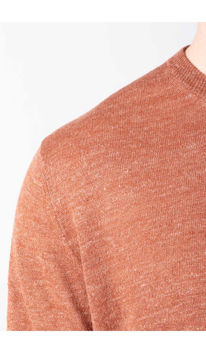 Roberto Collina Roberto Collina T-Shirt / 261MYA19021 / Squirrel Roberto Collina Roberto Collina T-Shirt / 261MYA19021 / Squirrel