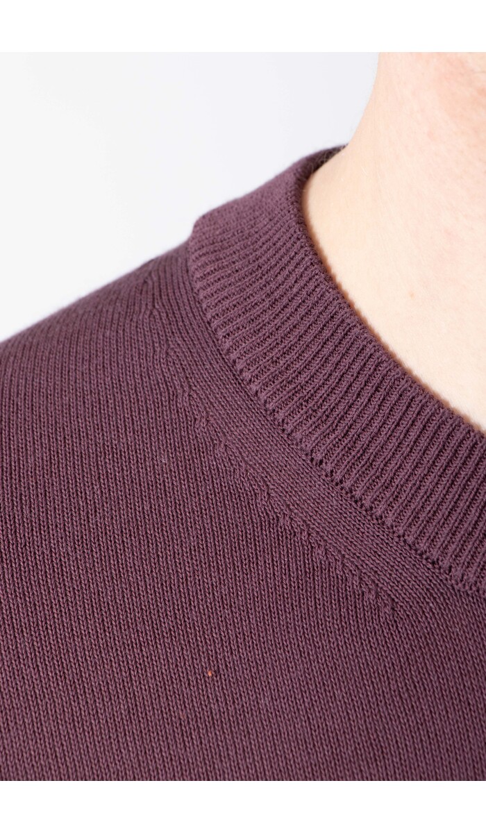 Roberto Collina Roberto Collina T-Shirt / 26MYA11021 / Vijg