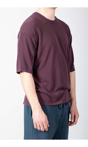 Roberto Collina Roberto Collina T-Shirt / 26MYA11021 / Vijg