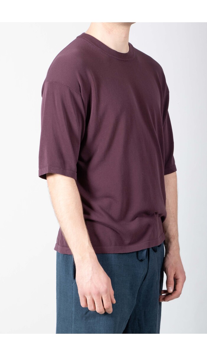 Roberto Collina Roberto Collina T-Shirt / 26MYA11021 / Vijg