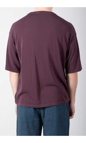 Roberto Collina Roberto Collina T-Shirt / 26MYA11021 / Vijg