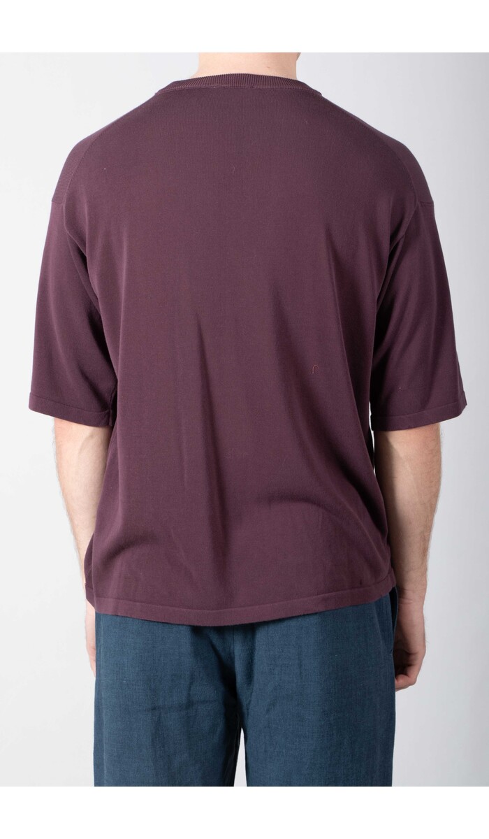 Roberto Collina Roberto Collina T-Shirt / 26MYA11021 / Vijg