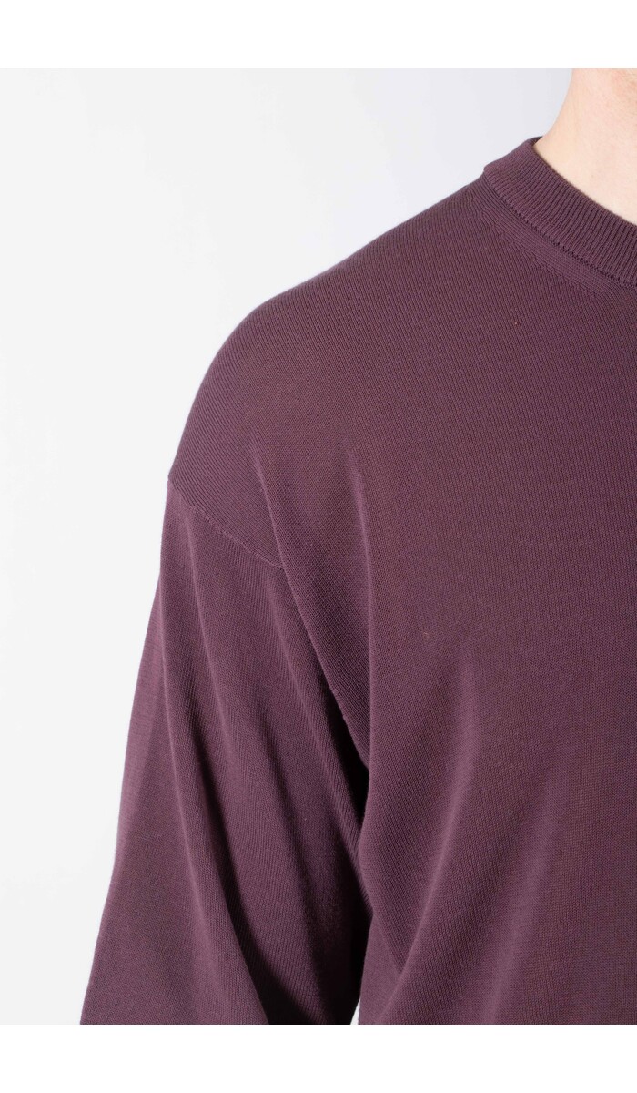 Roberto Collina Roberto Collina T-Shirt / 26MYA11021 / Vijg