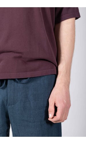 Roberto Collina Roberto Collina T-Shirt / 26MYA11021 / Vijg