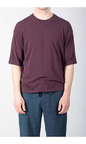 Roberto Collina Roberto Collina T-Shirt / 26MYA11021 / Vijg