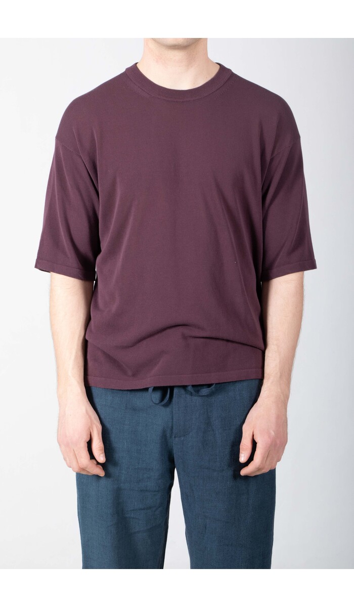 Roberto Collina Roberto Collina T-Shirt / 26MYA11021 / Vijg