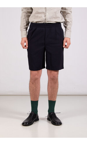 Homecore Homecore Kurzhose / Sahara Rock / Navy