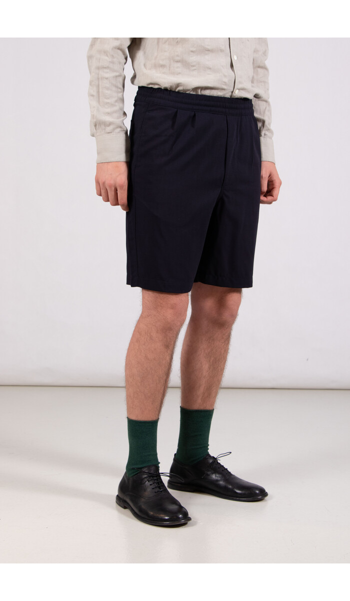 Homecore Homecore Kurzhose / Sahara Rock / Navy