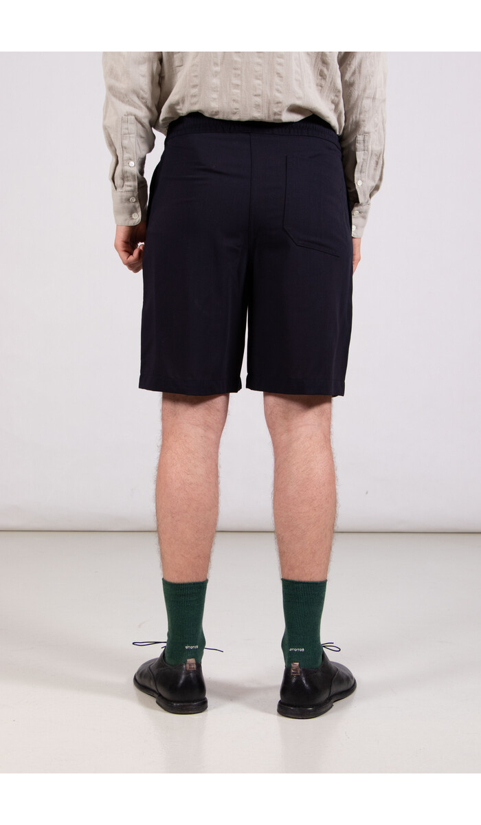 Homecore Homecore Kurzhose / Sahara Rock / Navy