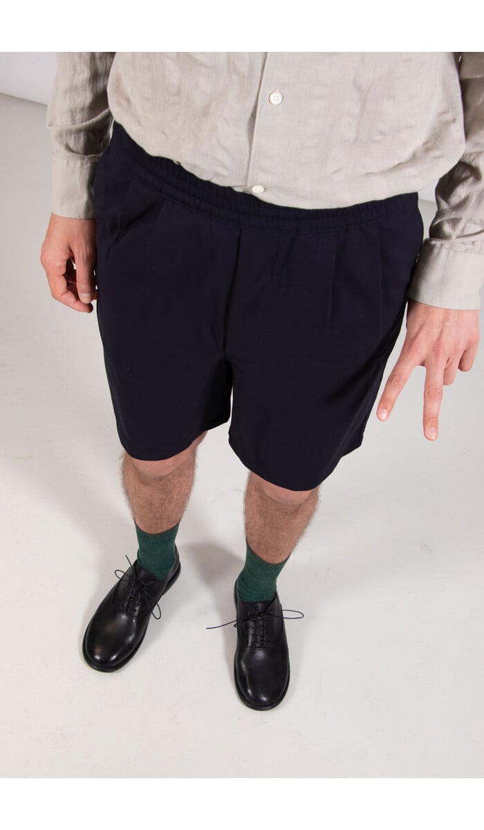 Homecore Homecore Kurzhose / Sahara Rock / Navy