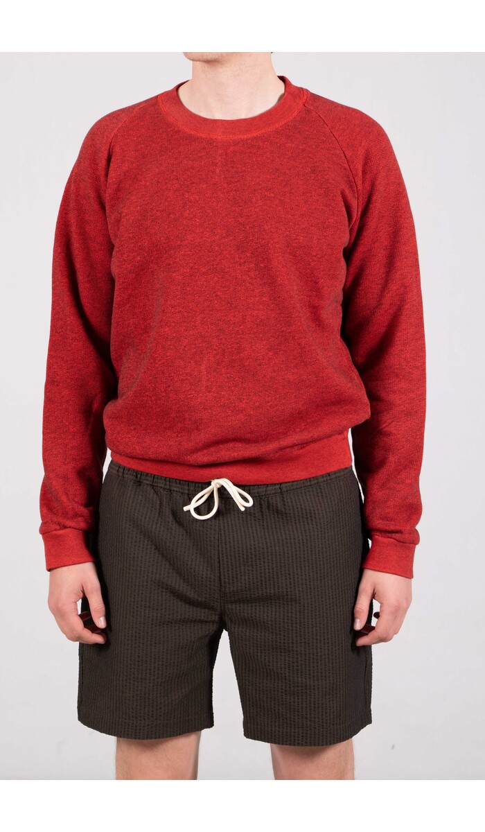 Homecore Homecore Trui / Terry Sweat / Hittegolf