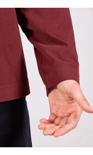 7d 7d Henley / Evan / Barbera