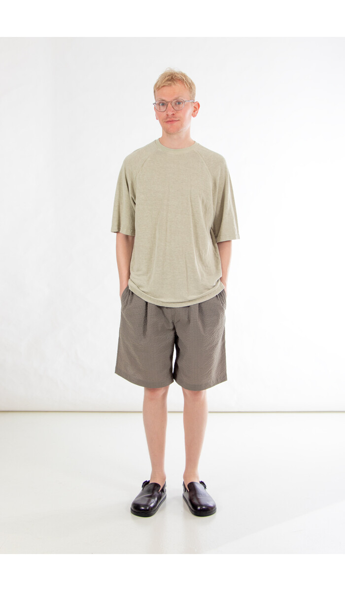 Jungmaven Jungmaven T-shirt / Woodstock Raglan / Vlas