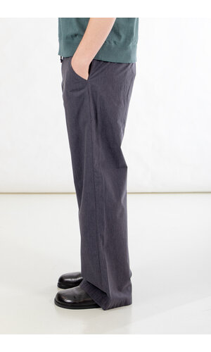 Hannes Roether Hannes Roether Trousers / Balaton / Pinstripe
