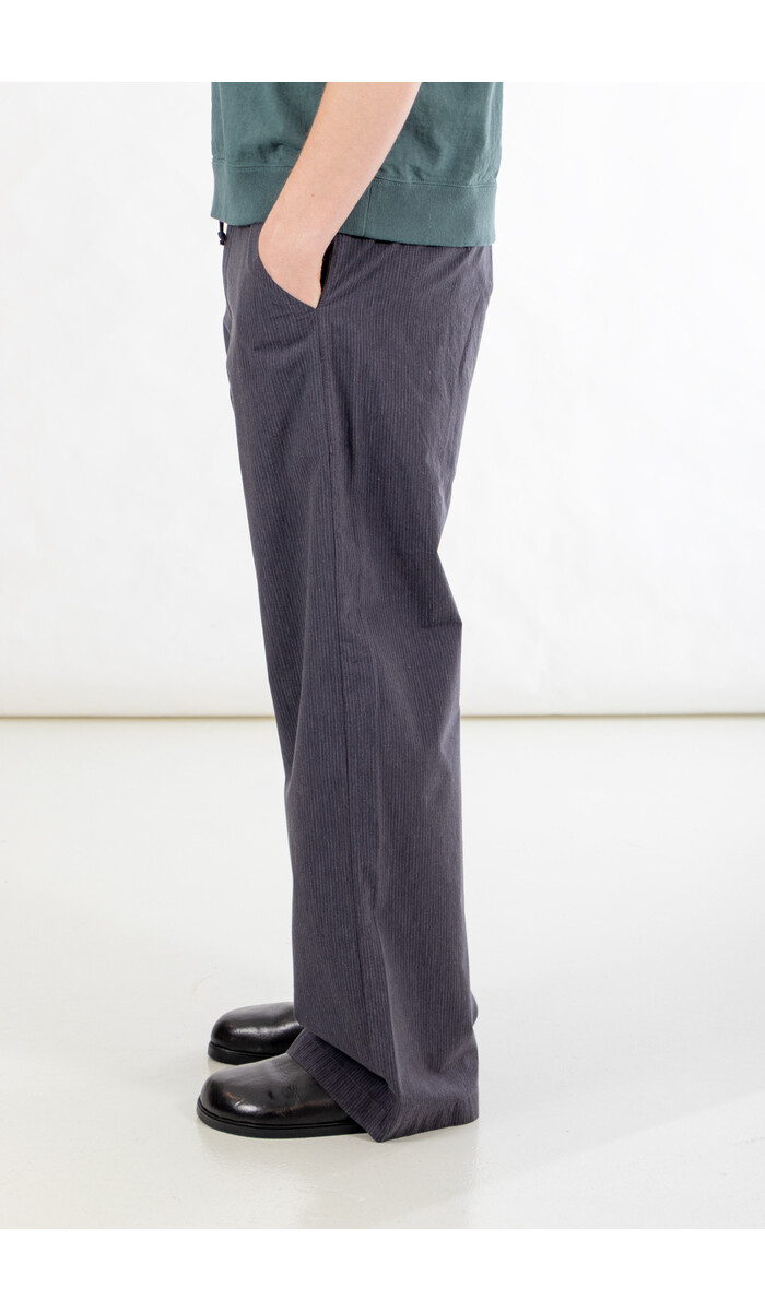 Hannes Roether Hannes Roether Trousers / Balaton / Pinstripe