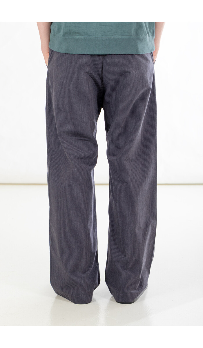 Hannes Roether Hannes Roether Trousers / Balaton / Pinstripe