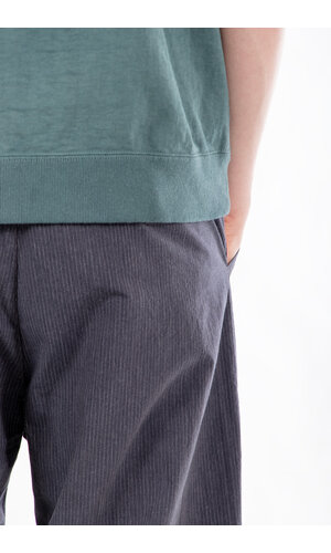 Hannes Roether Hannes Roether Trousers / Balaton / Pinstripe