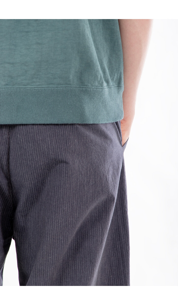 Hannes Roether Hannes Roether Trousers / Balaton / Pinstripe