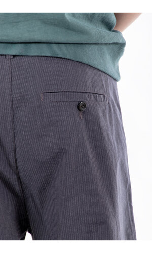 Hannes Roether Hannes Roether Trousers / Balaton / Pinstripe