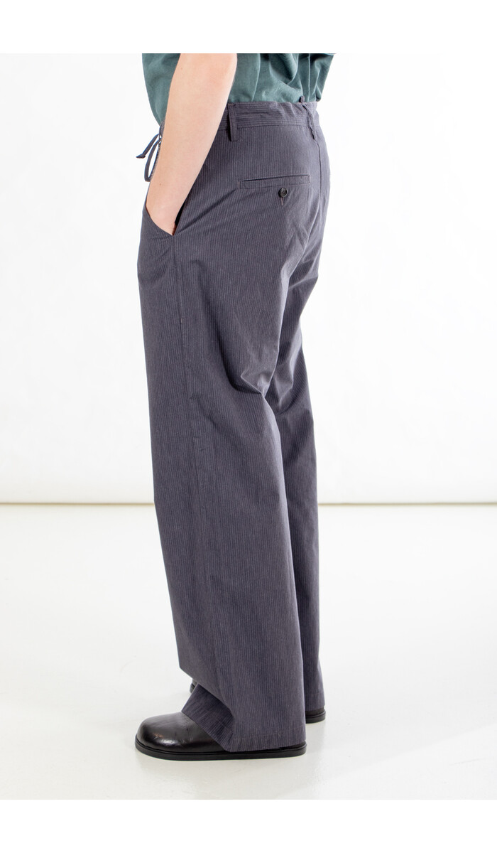 Hannes Roether Hannes Roether Trousers / Balaton / Pinstripe