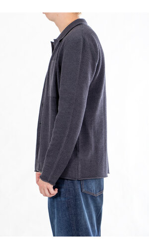 Hannes Roether Hannes Roether Vest / Lynch / Muisgrijs Hannes Roether Hannes Roether Vest / Lynch / Muisgrijs