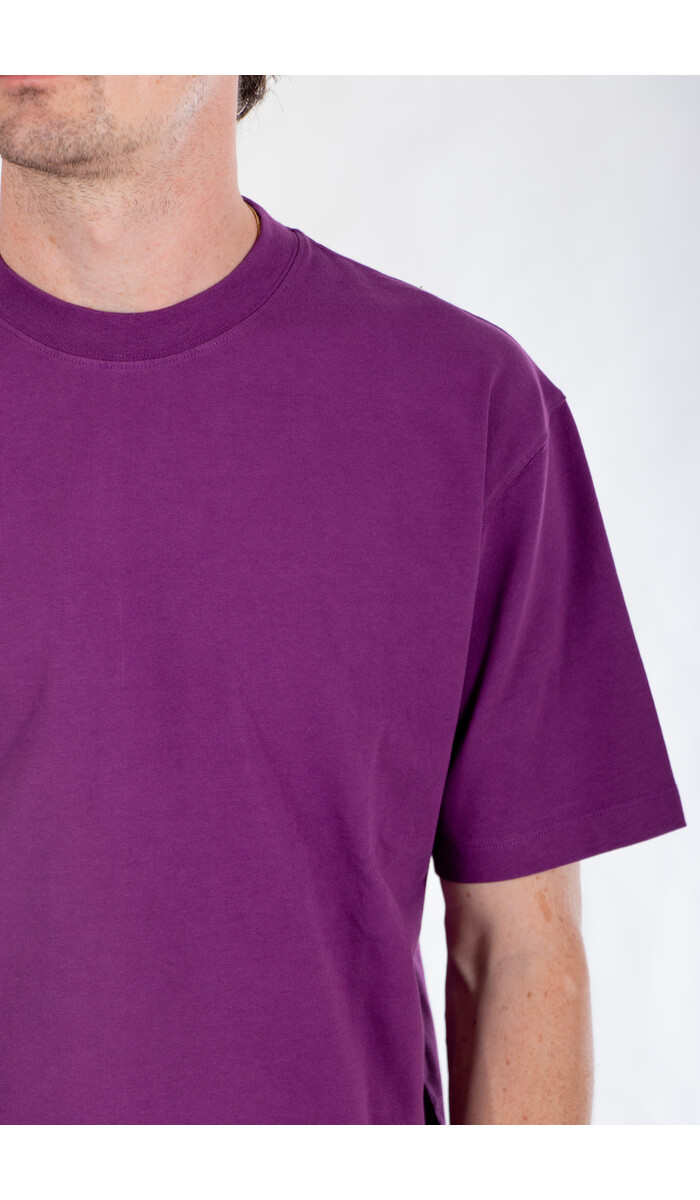 Homecore Homecore T-shirt / MKO Tee / Druif